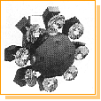 flower_cluster.gif (9961 octets)
